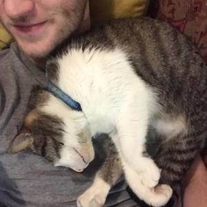 Meet your Posher, Robert